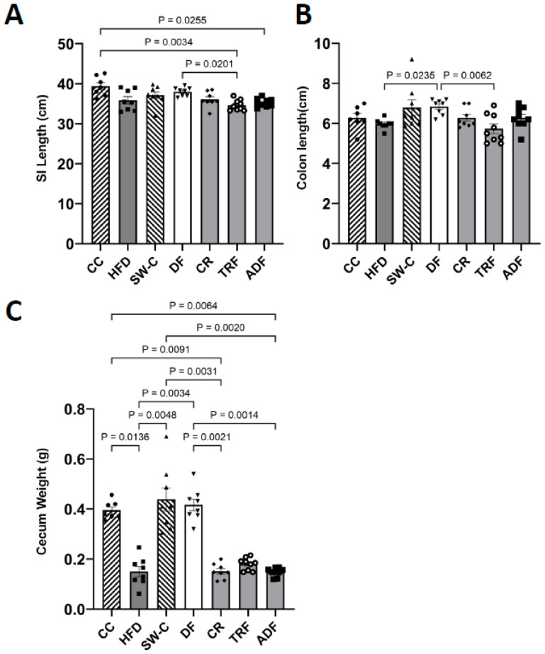 Fasting Protocols Do Not Improve Intestinal Architecture and Immune Parameters in C57BL/6 Male Mice Fed a High Fat Diet.