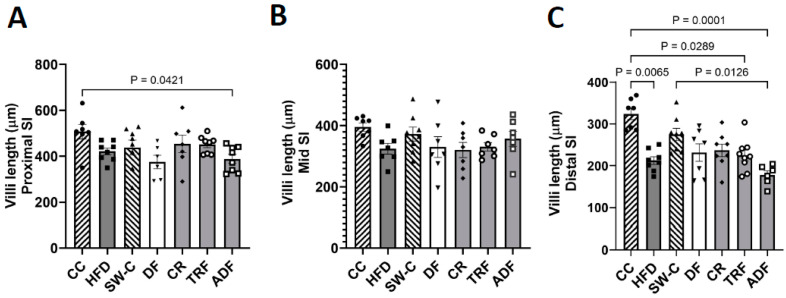 Fasting Protocols Do Not Improve Intestinal Architecture and Immune Parameters in C57BL/6 Male Mice Fed a High Fat Diet.