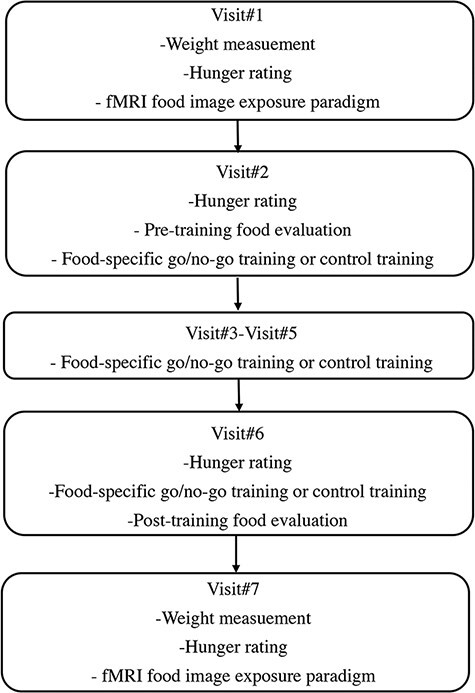 Pilot study of food-specific go/no-go training for overweight individuals: brain imaging data suggest inhibition shapes food evaluation.