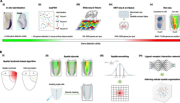 Integration of Computational Analysis and Spatial Transcriptomics in Single-cell Studies