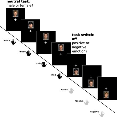 Neural correlates of affective task switching and asymmetric affective task switching costs.