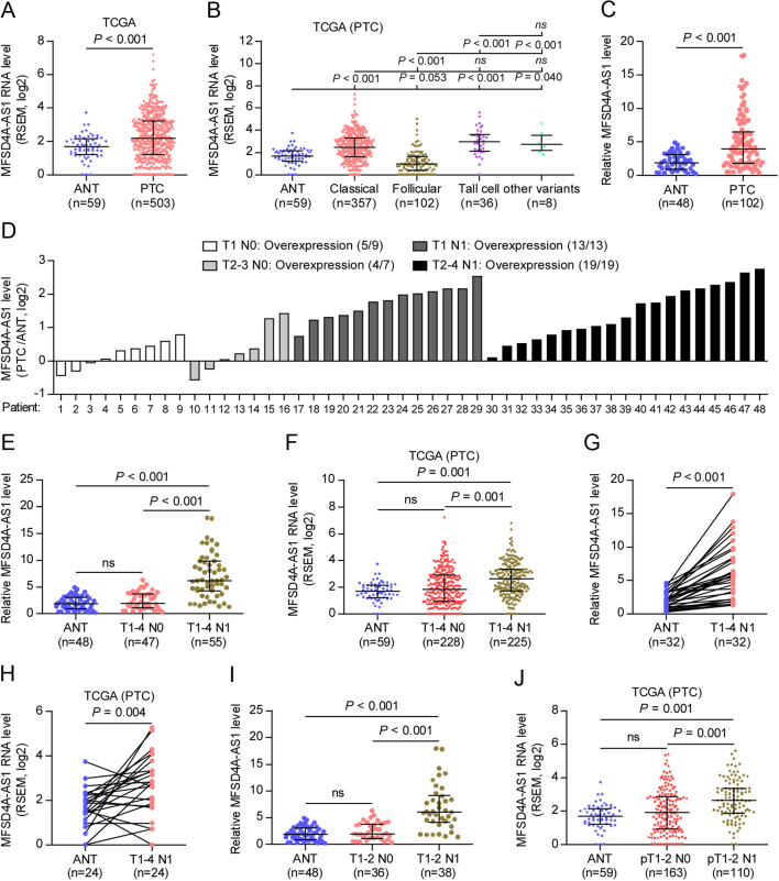 Long non-coding RNA MFSD4A-AS1 promotes lymphangiogenesis and lymphatic metastasis of papillary thyroid cancer.