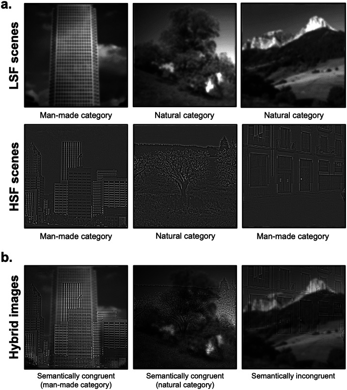 Impact of glaucoma on the spatial frequency processing of scenes in central vision.