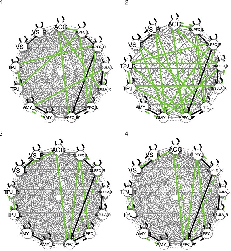 Social goals in girls transitioning to adolescence: associations with psychopathology and brain network connectivity.