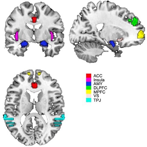 Social goals in girls transitioning to adolescence: associations with psychopathology and brain network connectivity.