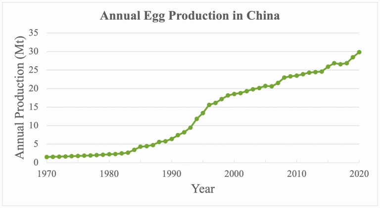 Cage-free eggs in China.