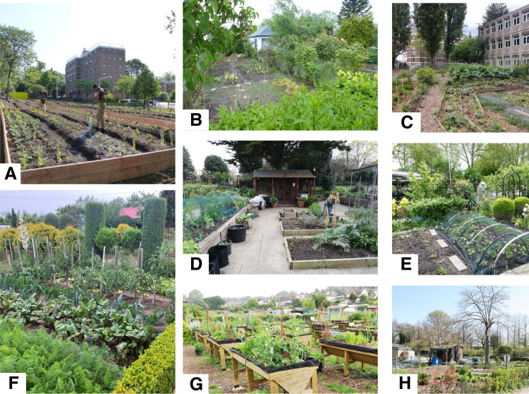 Food production and resource use of urban farms and gardens: a five-country study