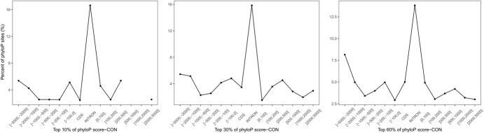 Identification of clade-wide putative <i>cis</i>-regulatory elements from conserved non-coding sequences in Cucurbitaceae genomes.