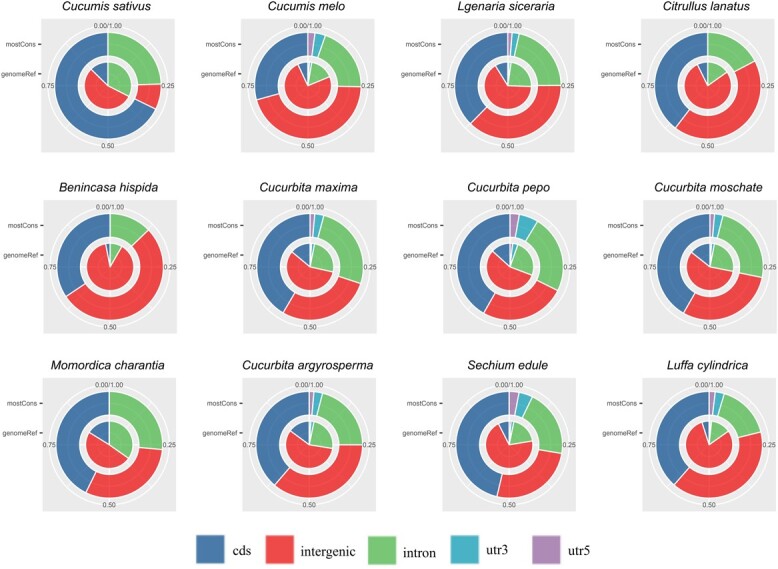 Identification of clade-wide putative <i>cis</i>-regulatory elements from conserved non-coding sequences in Cucurbitaceae genomes.