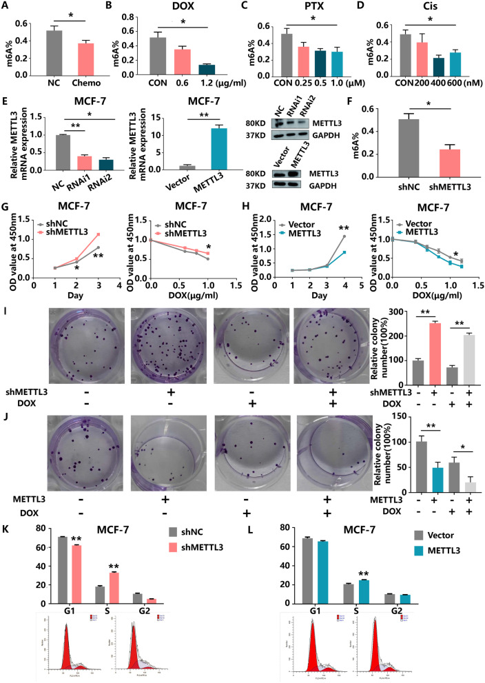 METTL3 depletion contributes to tumour progression and drug resistance via N6 methyladenosine-dependent mechanism in HR+HER2-breast cancer.