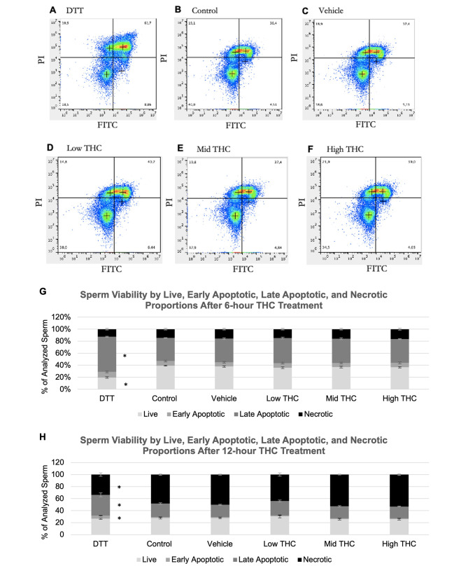 Sperm capacitation and transcripts levels are altered by in vitro THC exposure.