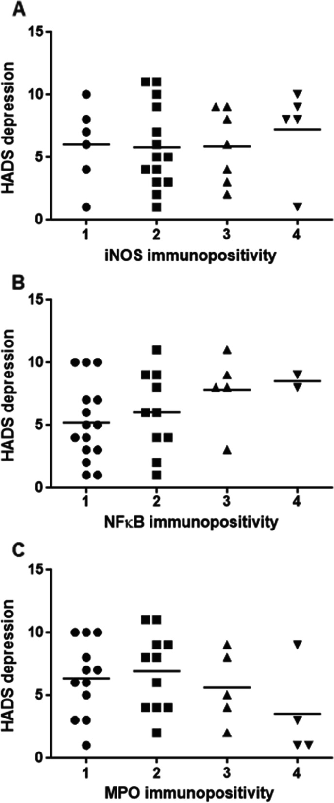 Association between self-rated depressive symptoms and mucosal expression of NF-κ B in patients with upper gastrointestinal symptoms.