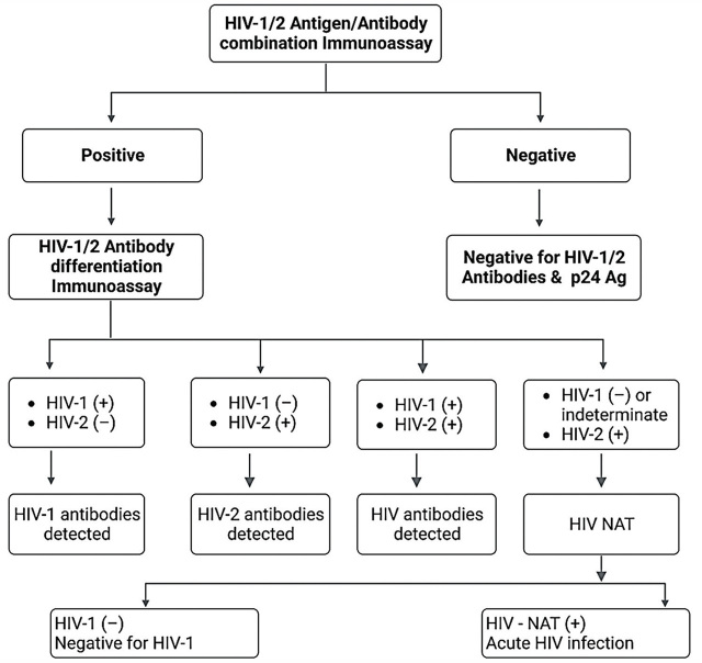 The contemporary immunoassays for HIV diagnosis: a concise overview.