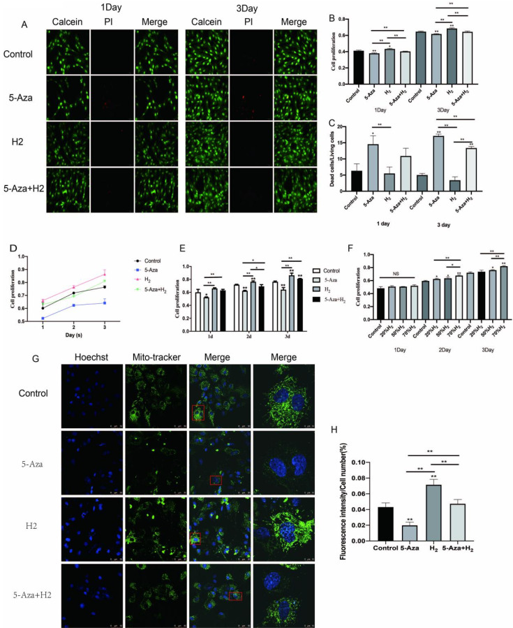 Synergistic Effect of Hydrogen and 5-Aza on Myogenic Differentiation through the p38 MAPK Signaling Pathway in Adipose-Derived Mesenchymal Stem Cells.