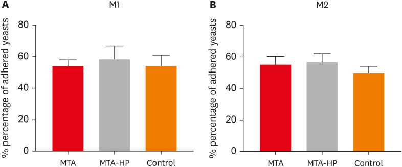 High-plasticity mineral trioxide aggregate and its effects on M1 and M2 macrophage viability and adherence, phagocyte activity, production of reactive oxygen species, and cytokines.