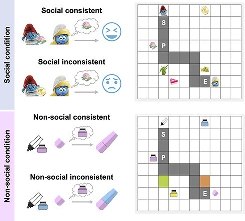 Mind your step: social cerebellum in interactive navigation.