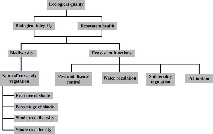 Ecological quality as a coffee quality enhancer. A review