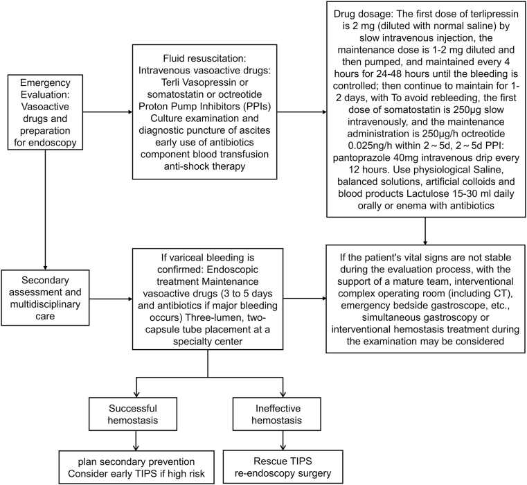 Expert consensus on emergency procedures for portal hypertension bleeding (2022)