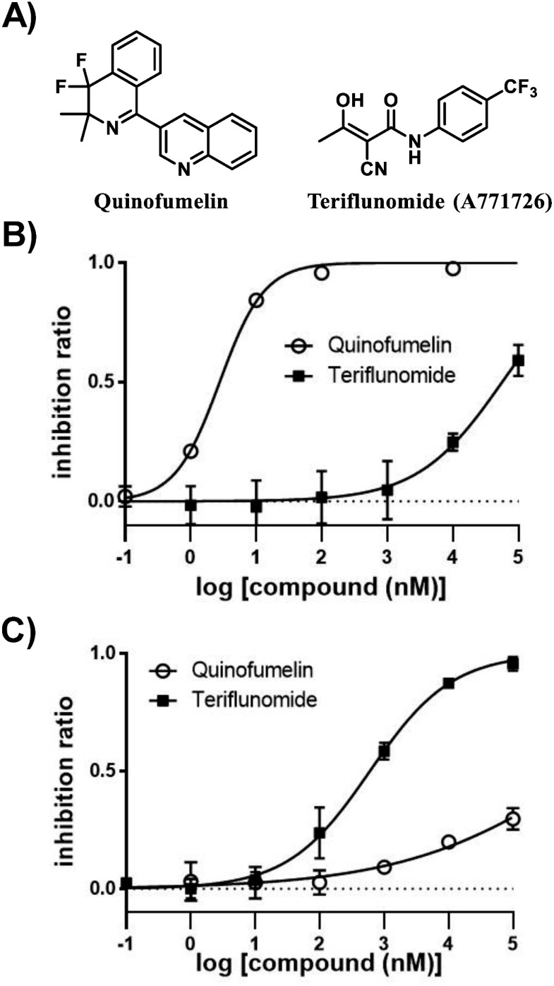 Novel fungicide quinofumelin shows selectivity for fungal dihydroorotate dehydrogenase over the corresponding human enzyme.