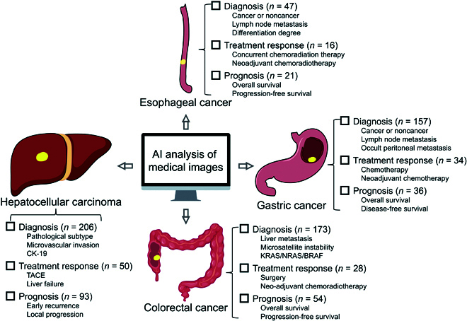The Applications of Artificial Intelligence in Digestive System Neoplasms: A Review.