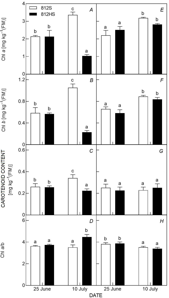 The photosynthetic function analysis for leaf photooxidation in rice.