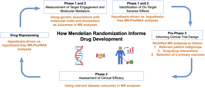 Mendelian randomization as a tool to inform drug development using human genetics.