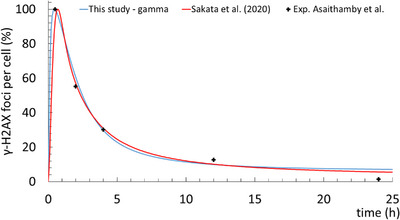 Simulation of DNA damage using Geant4-DNA: an overview of the "molecularDNA" example application.