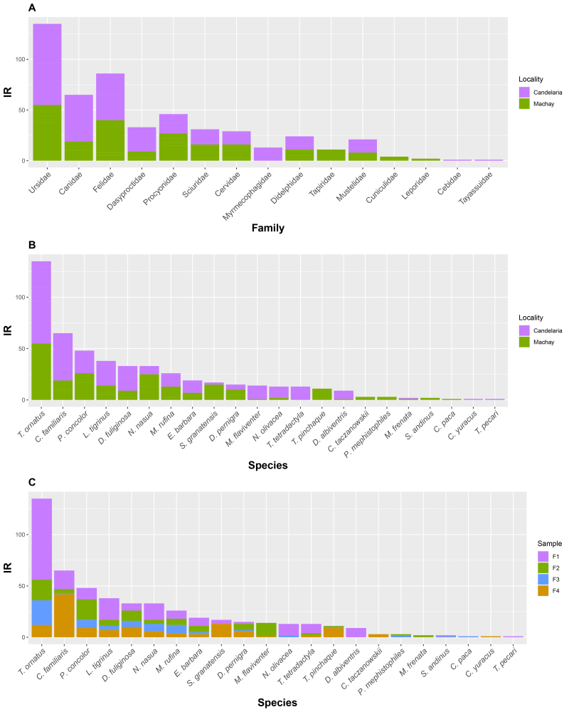 First insights in terrestrial mammals monitoring in the Candelaria and Machay Reserves in the Ecuadorian Tropical Andes.