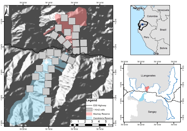 First insights in terrestrial mammals monitoring in the Candelaria and Machay Reserves in the Ecuadorian Tropical Andes.