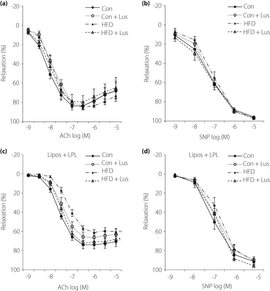Luseogliflozin and caloric intake restriction increase superoxide dismutase 2 expression, promote antioxidative effects, and attenuate aortic endothelial dysfunction in diet-induced obese mice