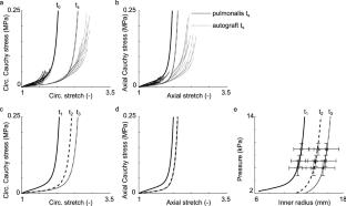 Computational modeling reveals inflammation-driven dilatation of the pulmonary autograft in aortic position