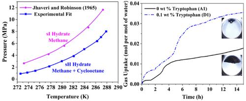 Thermodynamics, Kinetics, Morphology, and Raman studies for sH Hydrate of Methane and Cyclooctane