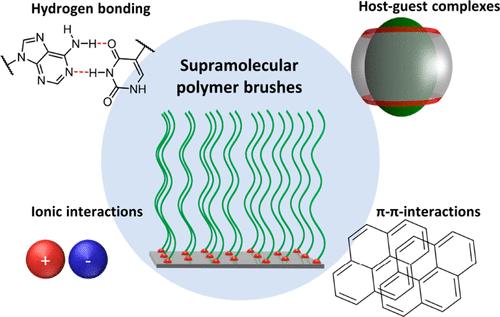 Supramolecular Polymer Brushes