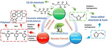 Catalytic conversion network for lignocellulosic biomass valorization: a panoramic view