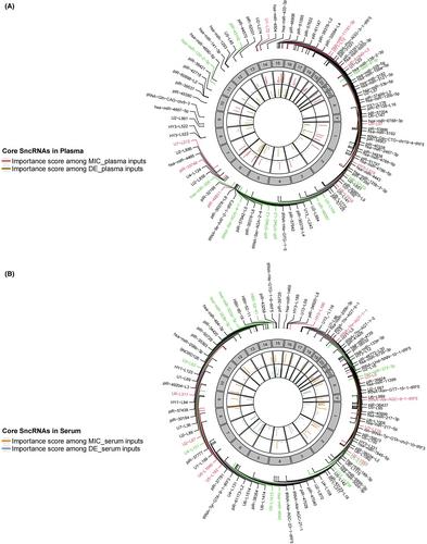 Characteristics of circulating small noncoding RNAs in plasma and serum during human aging