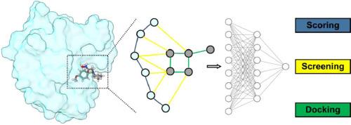 Deep graph learning in molecular docking: Advances and opportunities