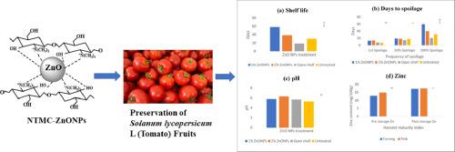 Hydrogen-assisted facile synthesis of N,N,N-trimethyl chitosan stabilized zinc oxide nanoparticles and its influence on the quality of Solanum lycopersicum L