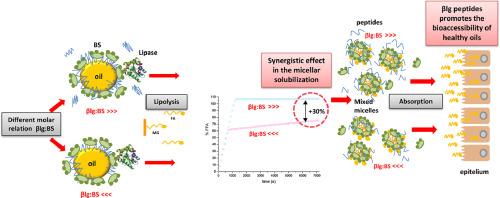 β-lactoglobulin peptides originating during in vitro digestion improve the bioaccesibility of healthy oils emulsions by forming mixed bile salts micelles with enhanced capacity to solubilize lipolysis products