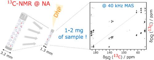 Fast magic angle spinning for the characterization of milligram quantities of organic and biological solids at natural isotopic abundance by 13C–13C correlation DNP-enhanced NMR