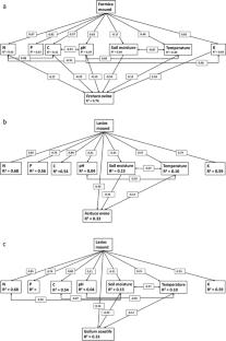 Ant mounds extend the duration of plant phenology events and enhance flowering success