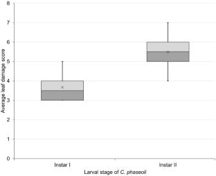 Phytophagy and predatory behavior of Caliothrips phaseoli (Thysanoptera: Thripidae) on bean foliage discs with Tetranychus merganser (Acari: Tetranychidae) eggs