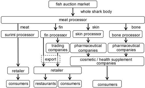 Mobilising international resource management certification schemes: Re-configuration of the global shark fin supply network by producers