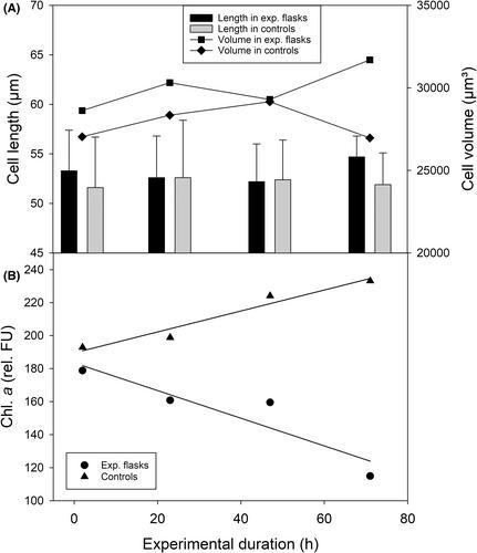 Functional ecology of planktonic ciliates: Measuring mortality rates in response to starvation