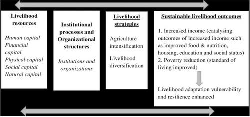 Smallholder cashew production and household livelihoods in the transition zone of Ghana