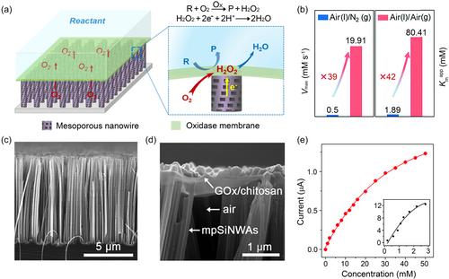 Superhydrophobicity-mediated enhanced enzymatic kinetics and high-performance bioassays