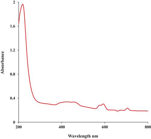 Novel green synthesis of tin nanoparticles by medicinal plant: Chemical characterization and determination of cytotoxicity, cutaneous wound healing and antioxidant properties