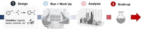 High-Throughput Experimentation as an Accessible Technology for Academic Organic Chemists in Europe and Beyond**