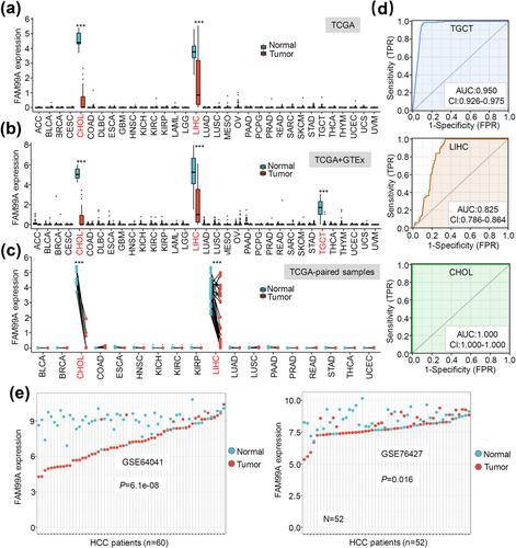 In silico analysis of the association between long non-coding RNA family with sequence similarity 99 member A (FAM99A) and hepatic cancer