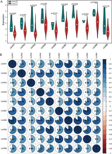 Comprehensive analysis of LILR family genes expression and tumour-infiltrating immune cells in early-stage pancreatic ductal adenocarcinoma