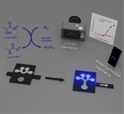 Enhanced Chemiluminescence of a Superior Luminol Derivative Provides Sensitive Smartphone-Based Point-of-Care Testing with Enzymatic μPAD